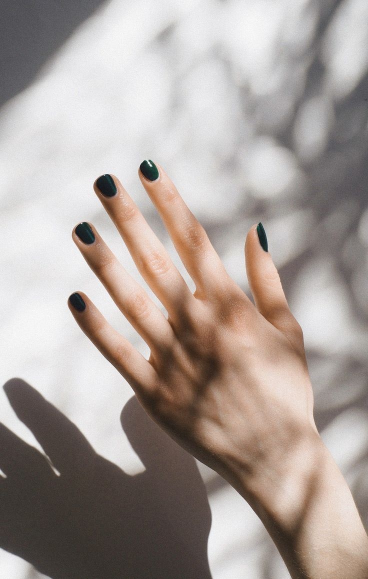 karolin van loon nail polish 19 feuille lotus