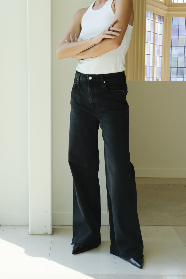 citizens of humanity paloma baggy devine