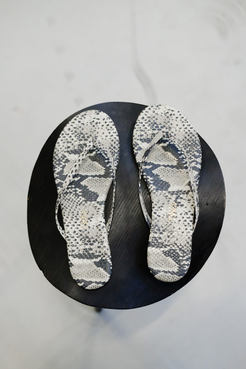 tkees studio exotic sandsnake