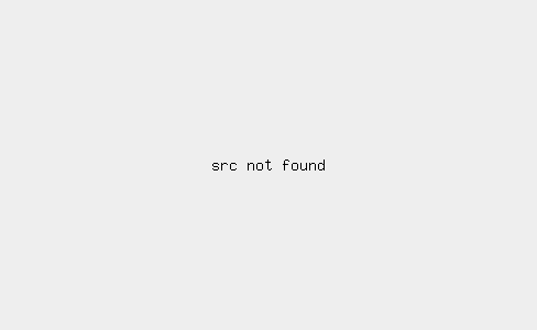beeld sf