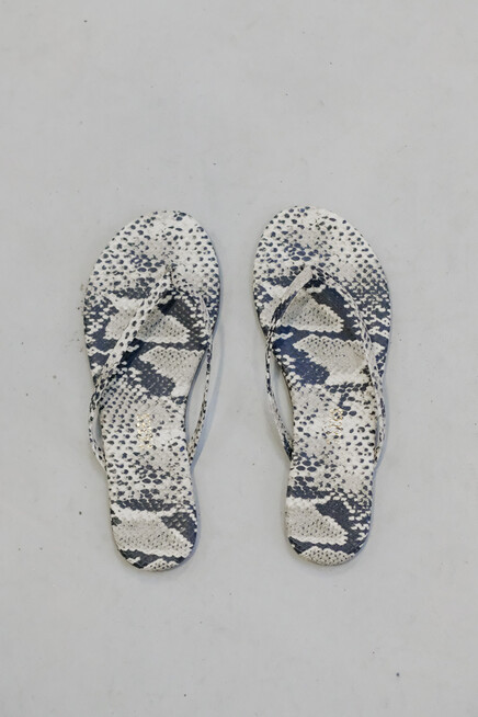 tkees studio exotic sandsnake